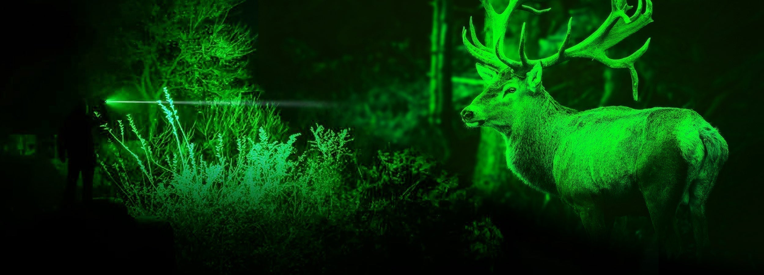 13- Why Do Hunters Use Red or Green Light?
