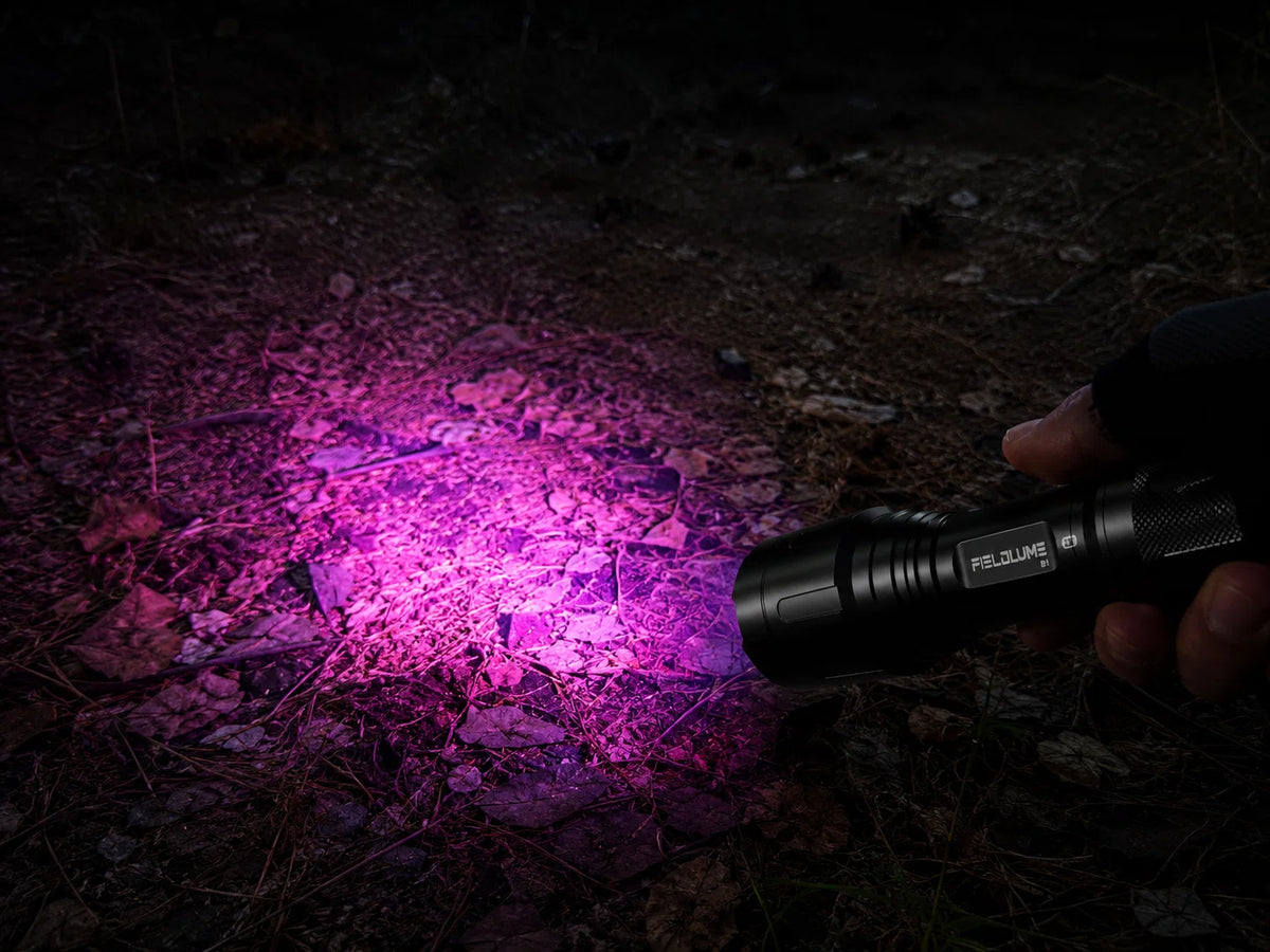 Clearer Ground. Less Harsh Glare. FIELDLUME B1 filtered tracking light illuminating leaf litter and forest ground at night