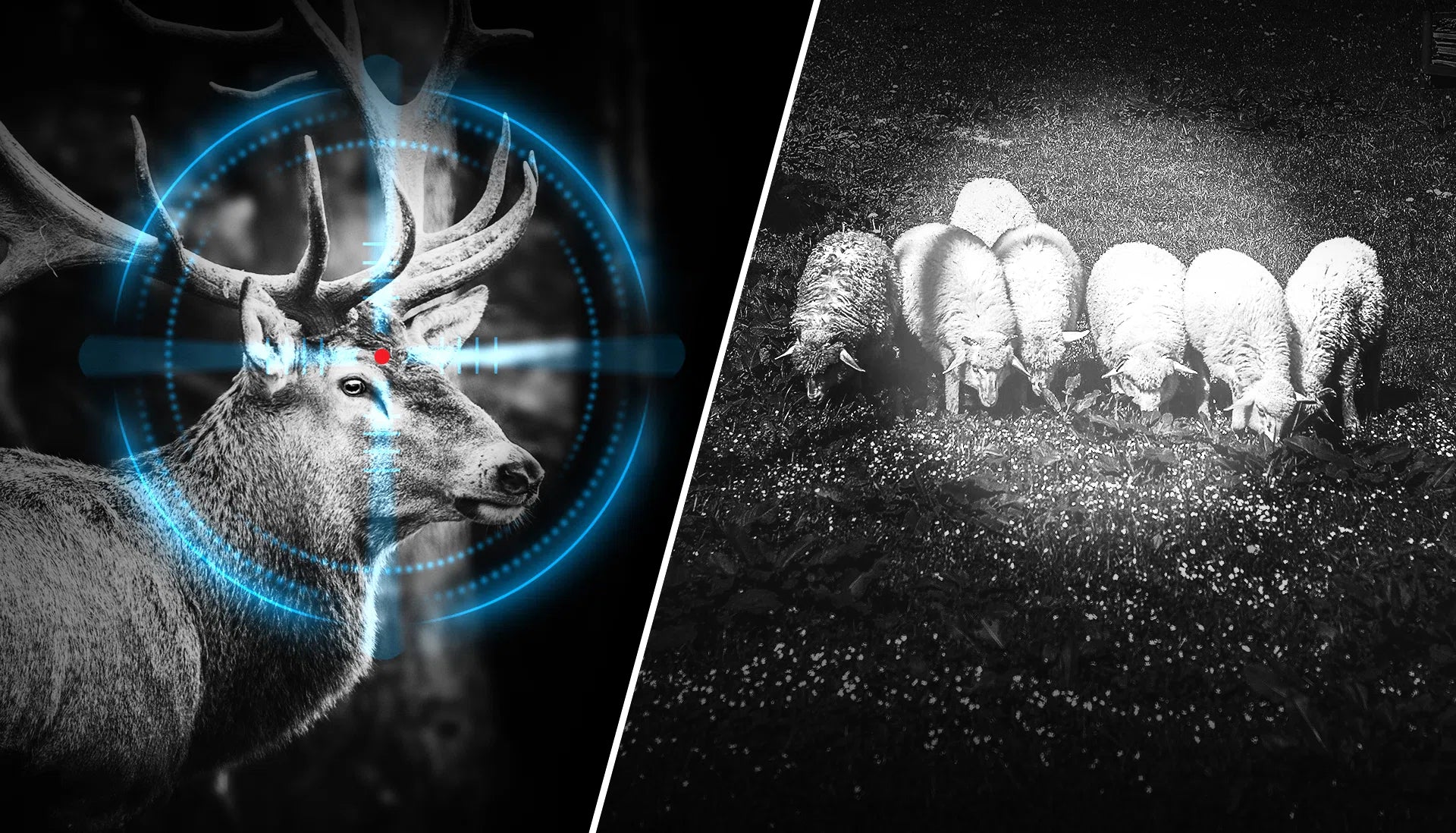 Night vision wildlife observation and farm monitoring examples using infrared illumination