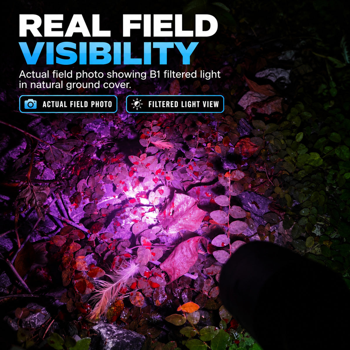 FIELDLUME B1 blood tracking light showing filtered light on natural ground cover in a real field photo