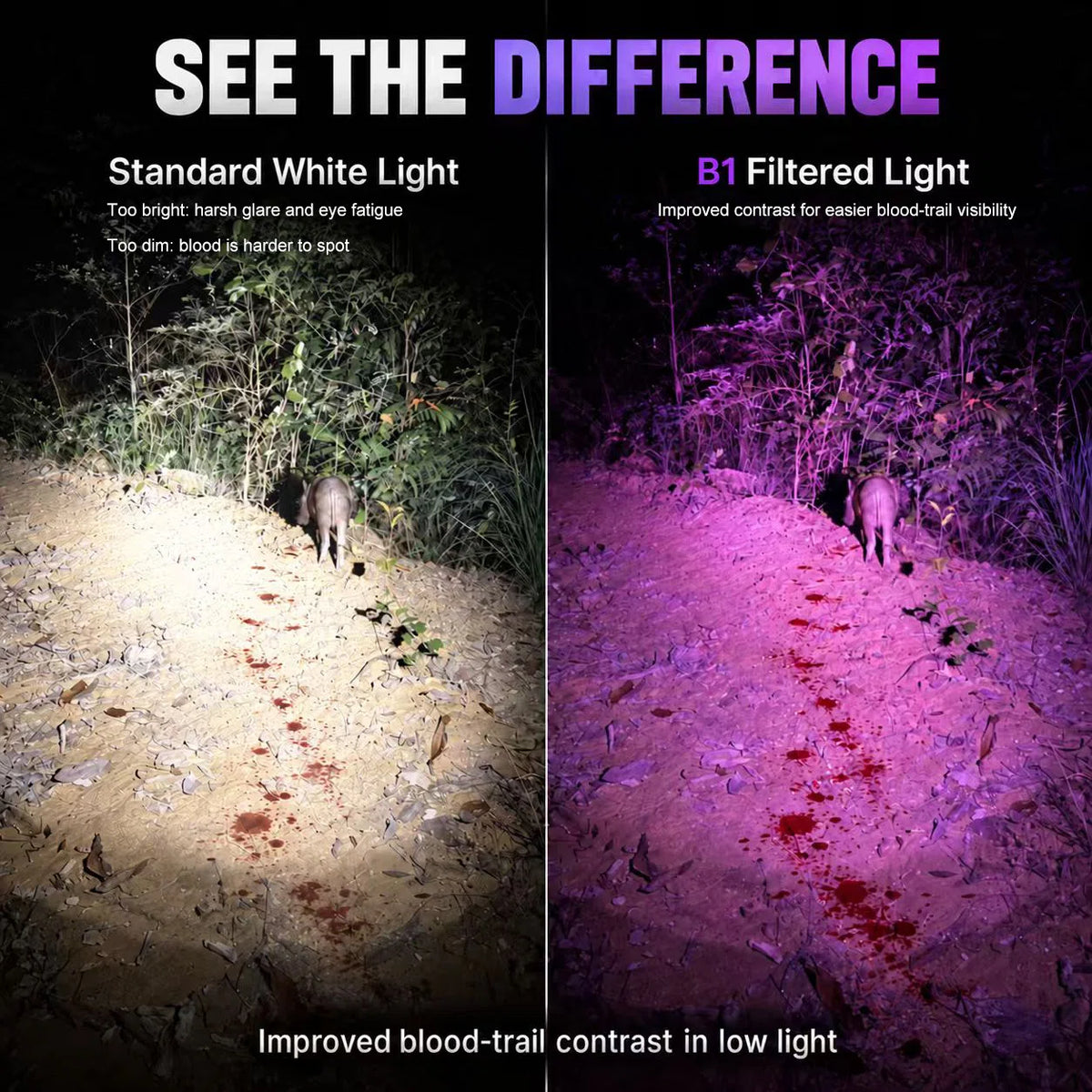 Comparison of standard white light and FIELDLUME B1 filtered light for improving blood-trail visibility