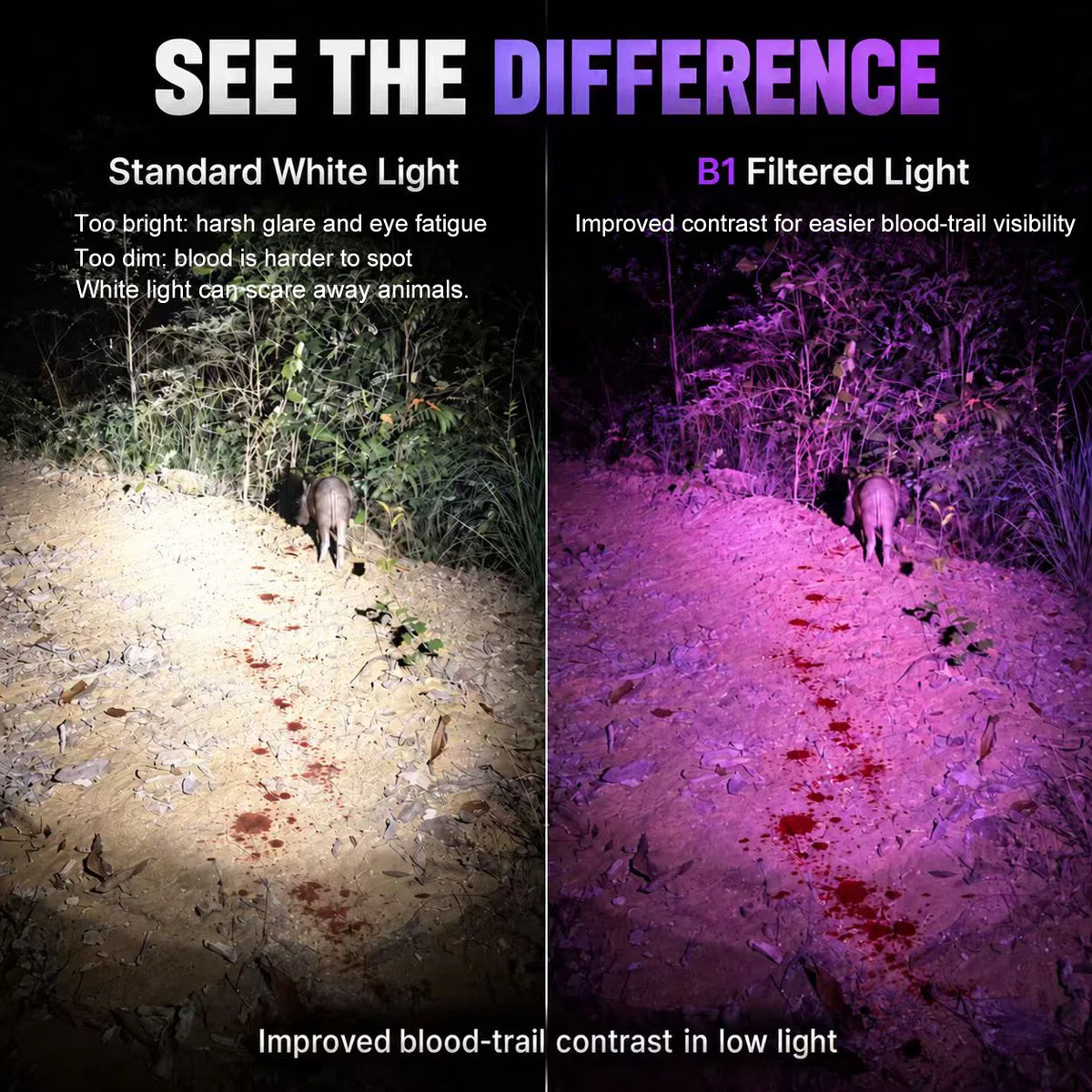 Comparison of standard white light and FIELDLUME B1 filtered light for improving blood-trail visibility
