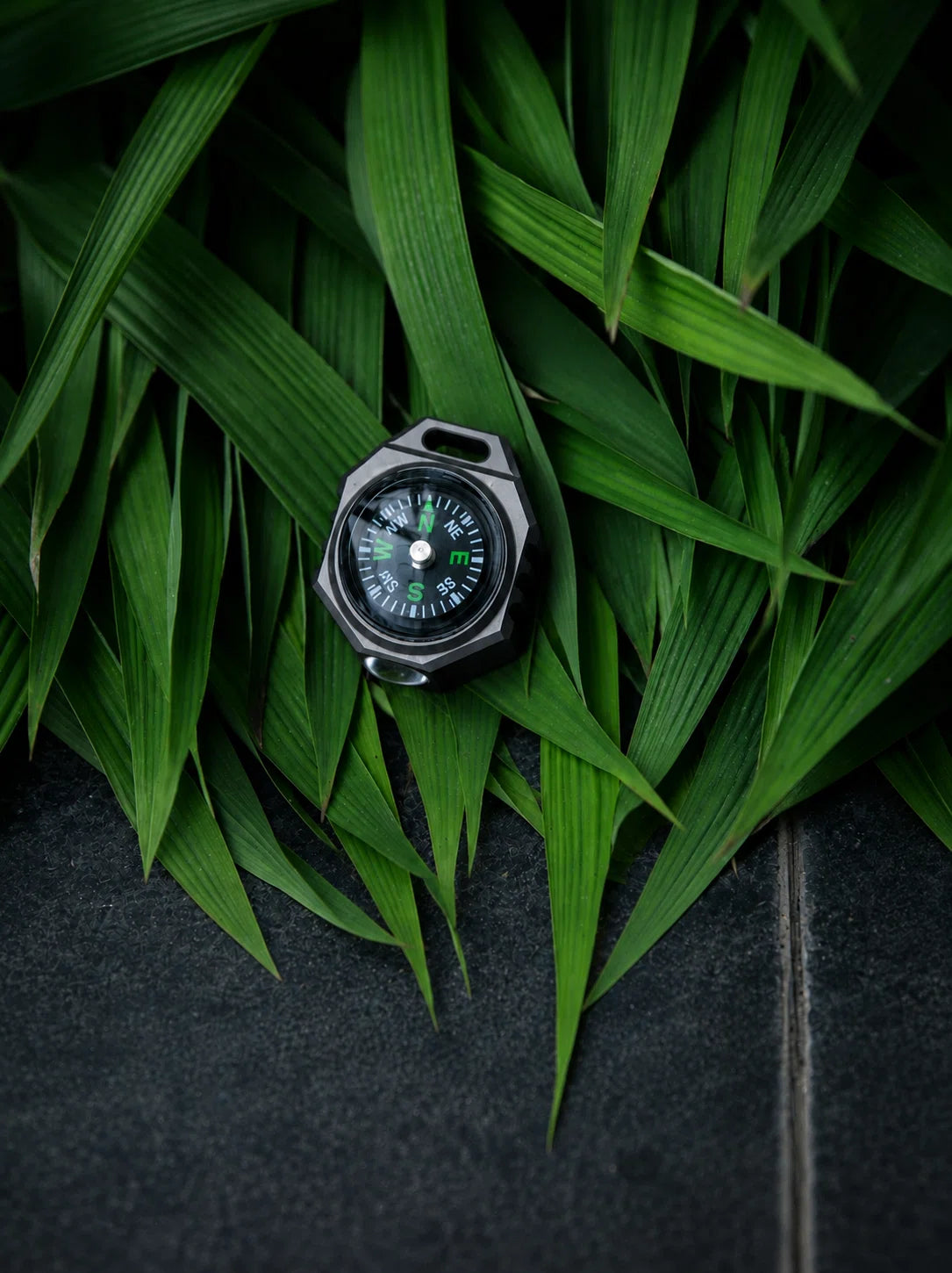 FIELDLUME T9 compact titanium EDC torch resting among green leaves