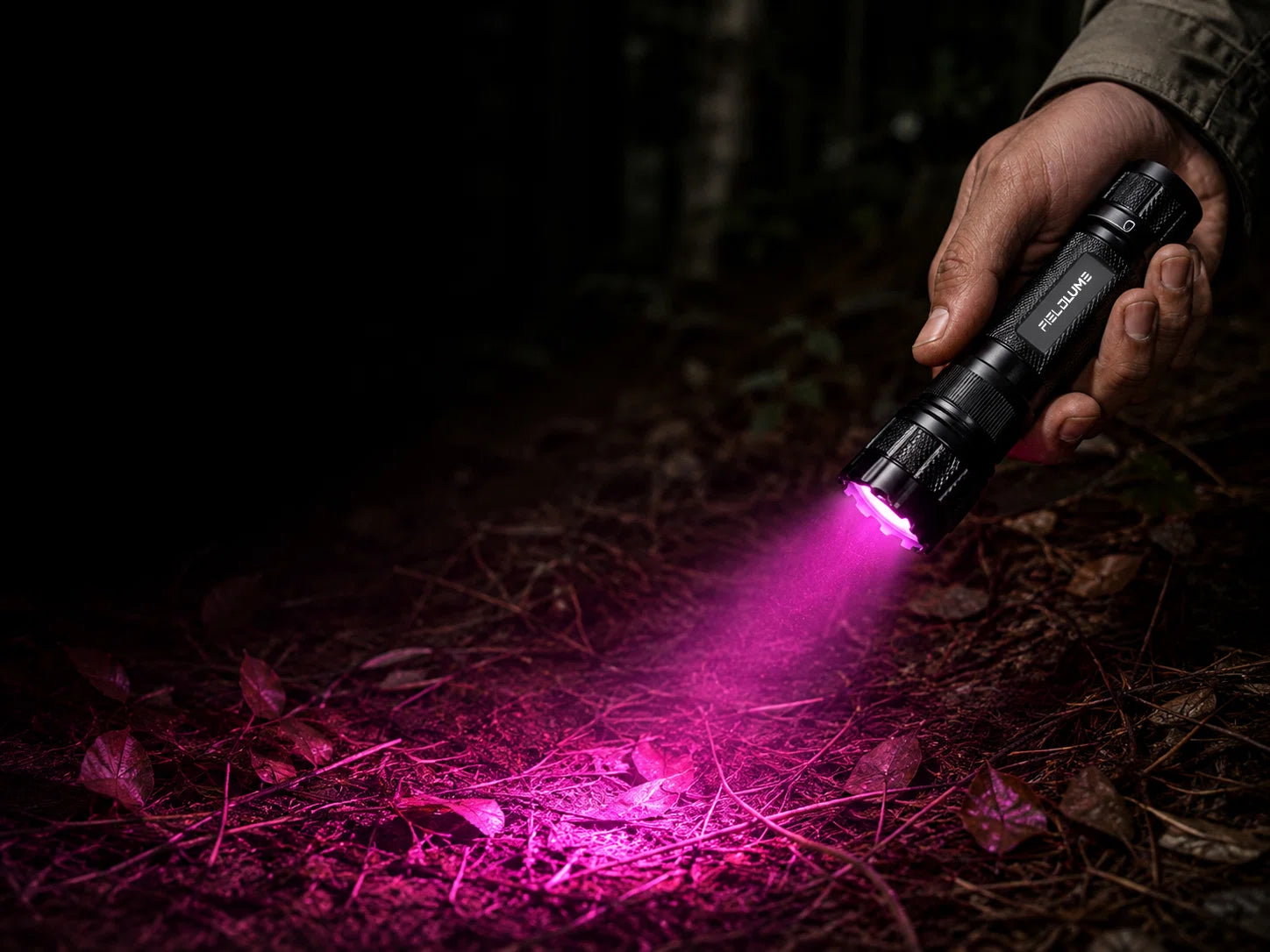 FIELDLUME TAC10-Pro filtered light illuminating grass and leaf litter during low-light tracking