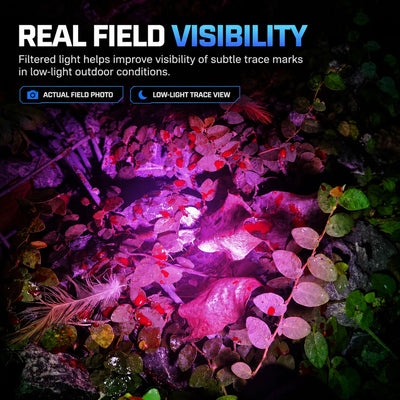 FIELDLUME TAC10-PRO filtered light showing subtle trail visibility across leaves and natural ground cover in a real field photo